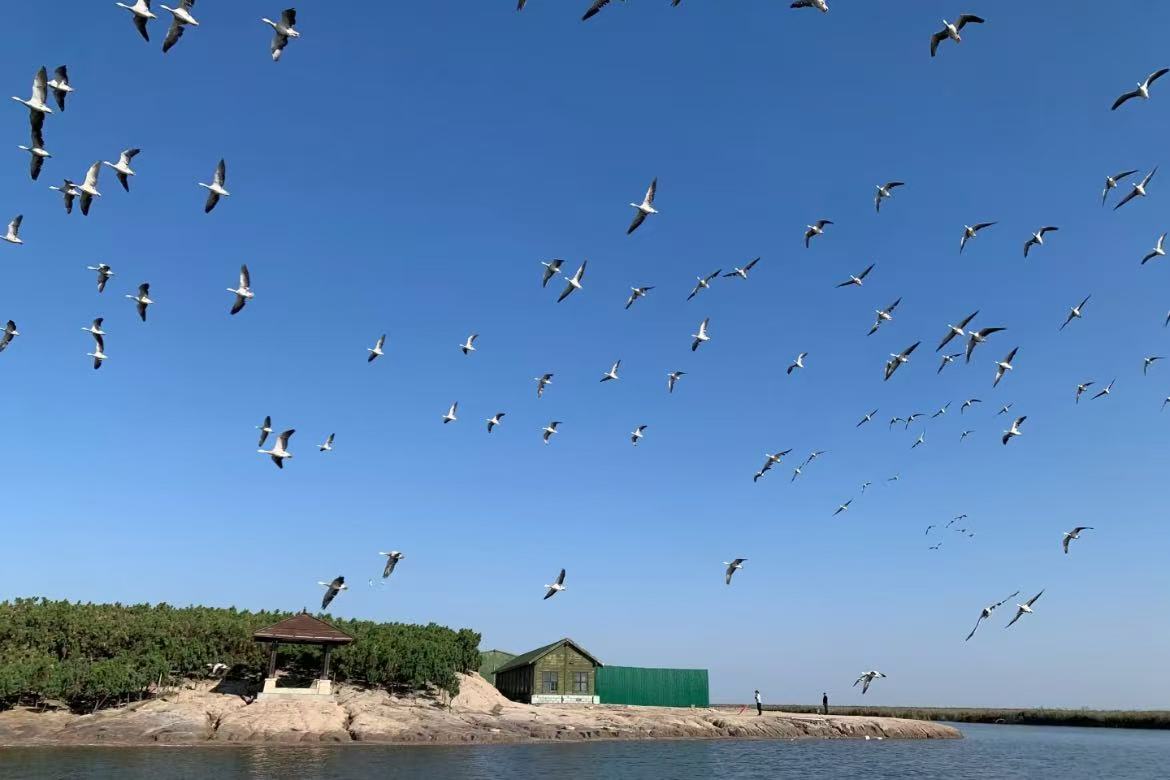 Nandagang Wetland